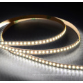 New type 12W/M 240LED/M SMD2216 LED strip for Indoor light